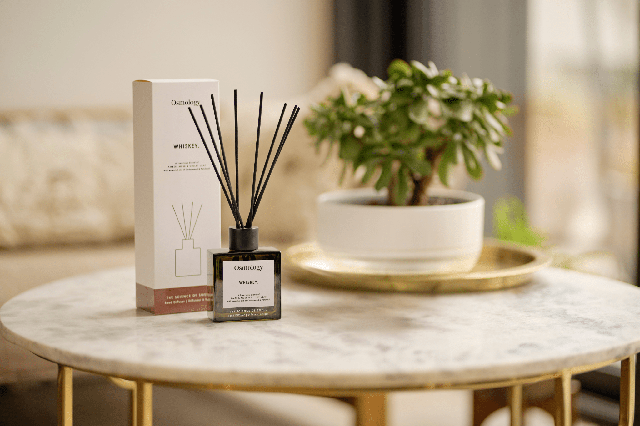 Best Reed Diffusers for Creating a Calm Home Office