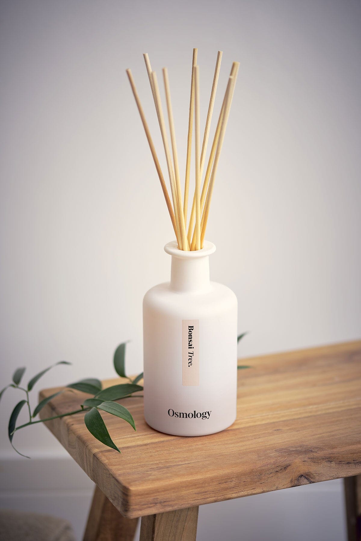 Bonsai Tree Reed Diffuser - Birch Sap Orange and Yuzu