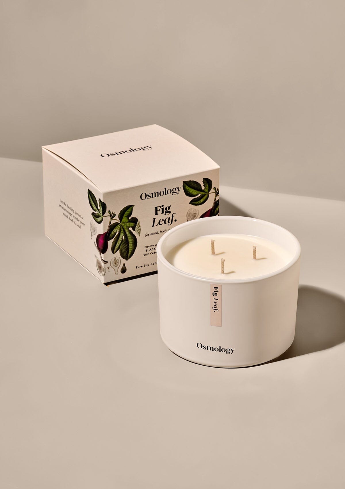 fiddle leaf fig foot candles Fig Leaf Scented Triple Wick Candle