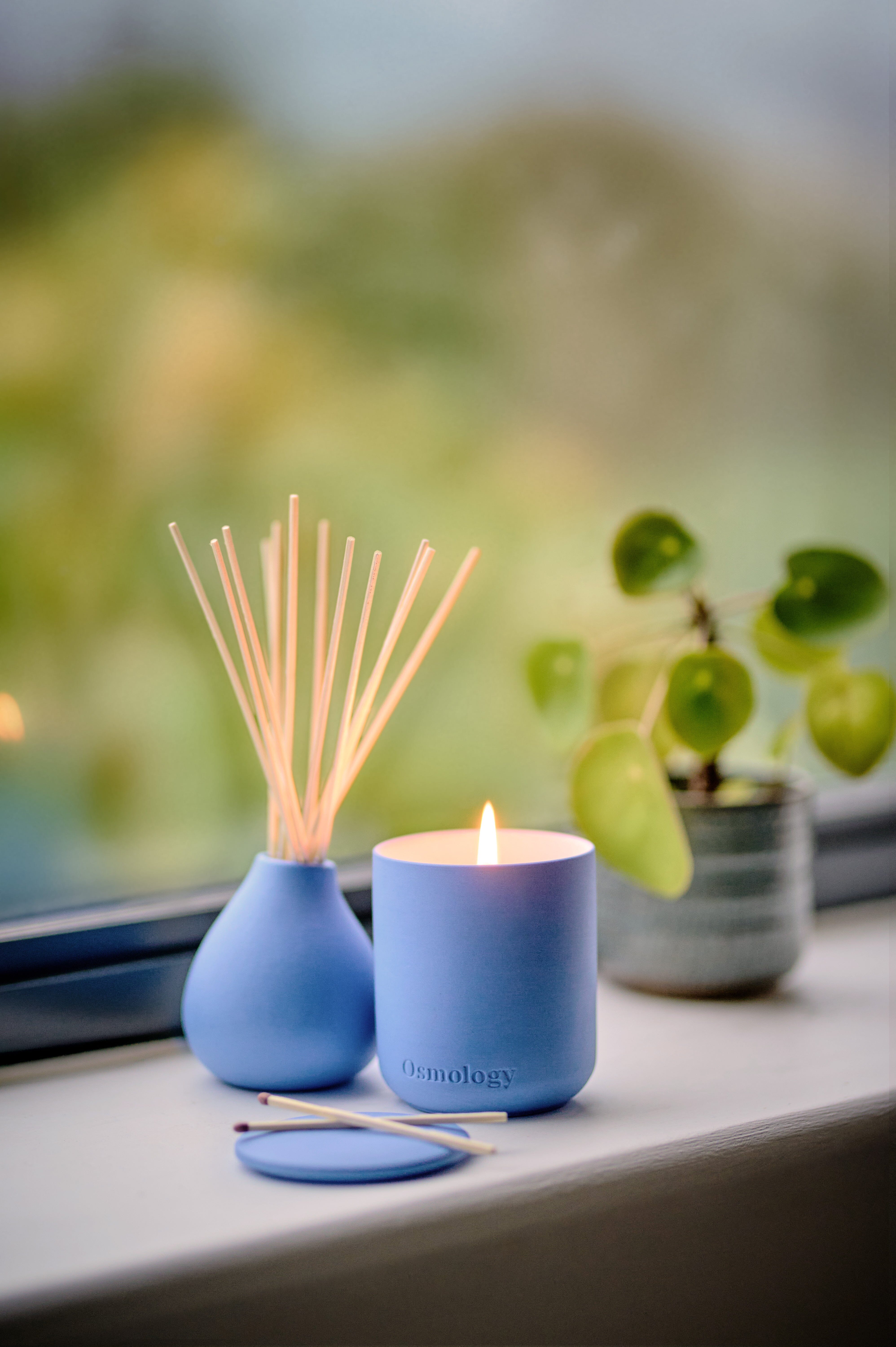 Amalfi Lemon Diffuser