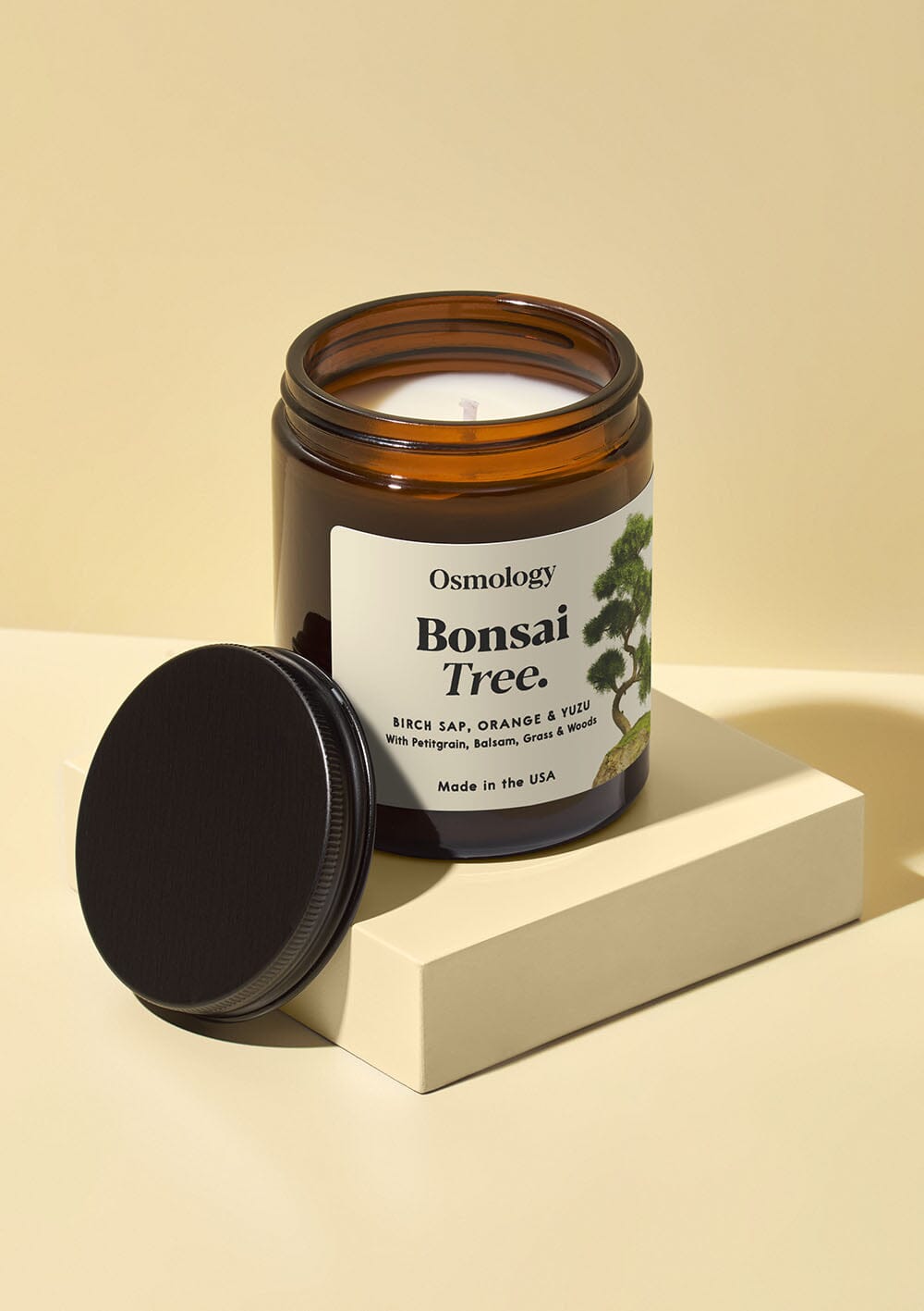 bonsai tree in a jar Bonsai Tree Scented Jar Candle