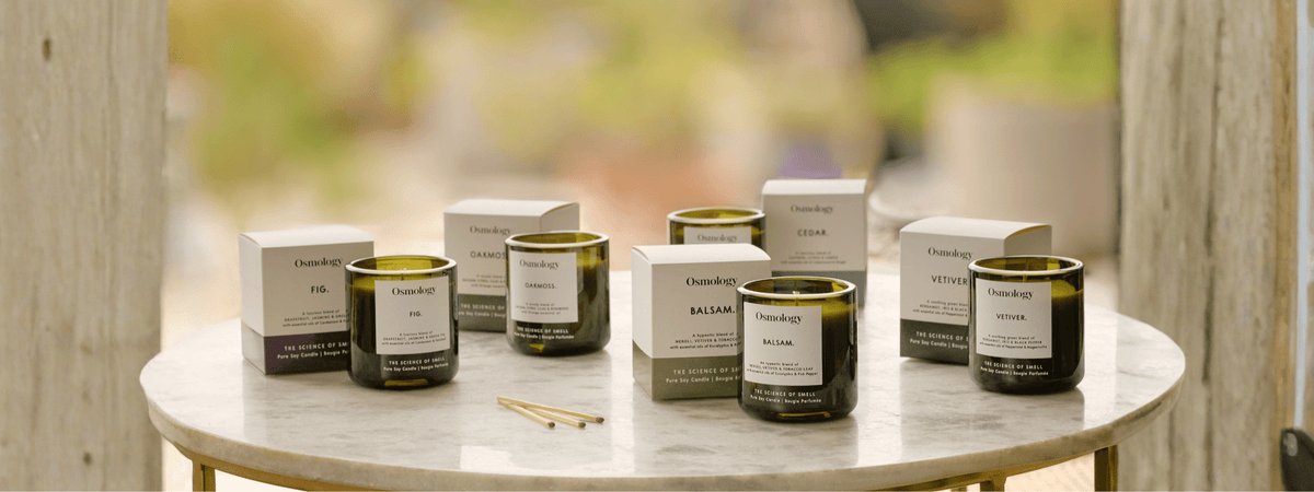 What Are the Most Popular Candle Fragrances in 2026?