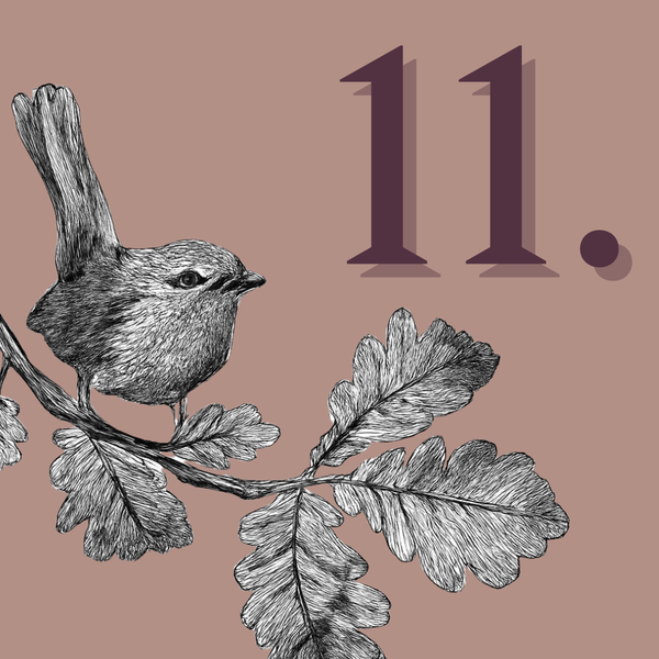 Day 11