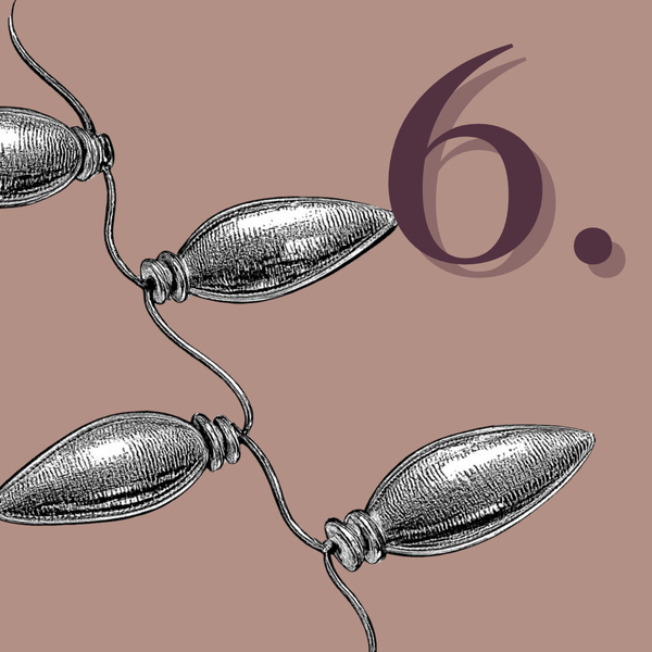 Day 6