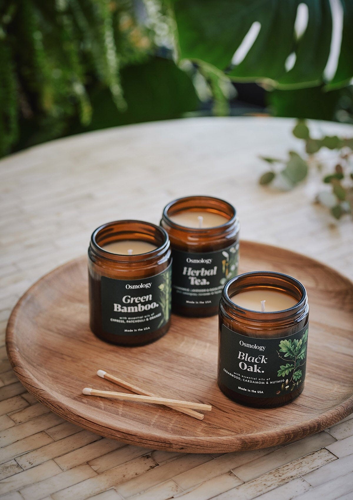 Black Oak Scented Jar Candle - Cedarwood Cardamon and Nutmeg