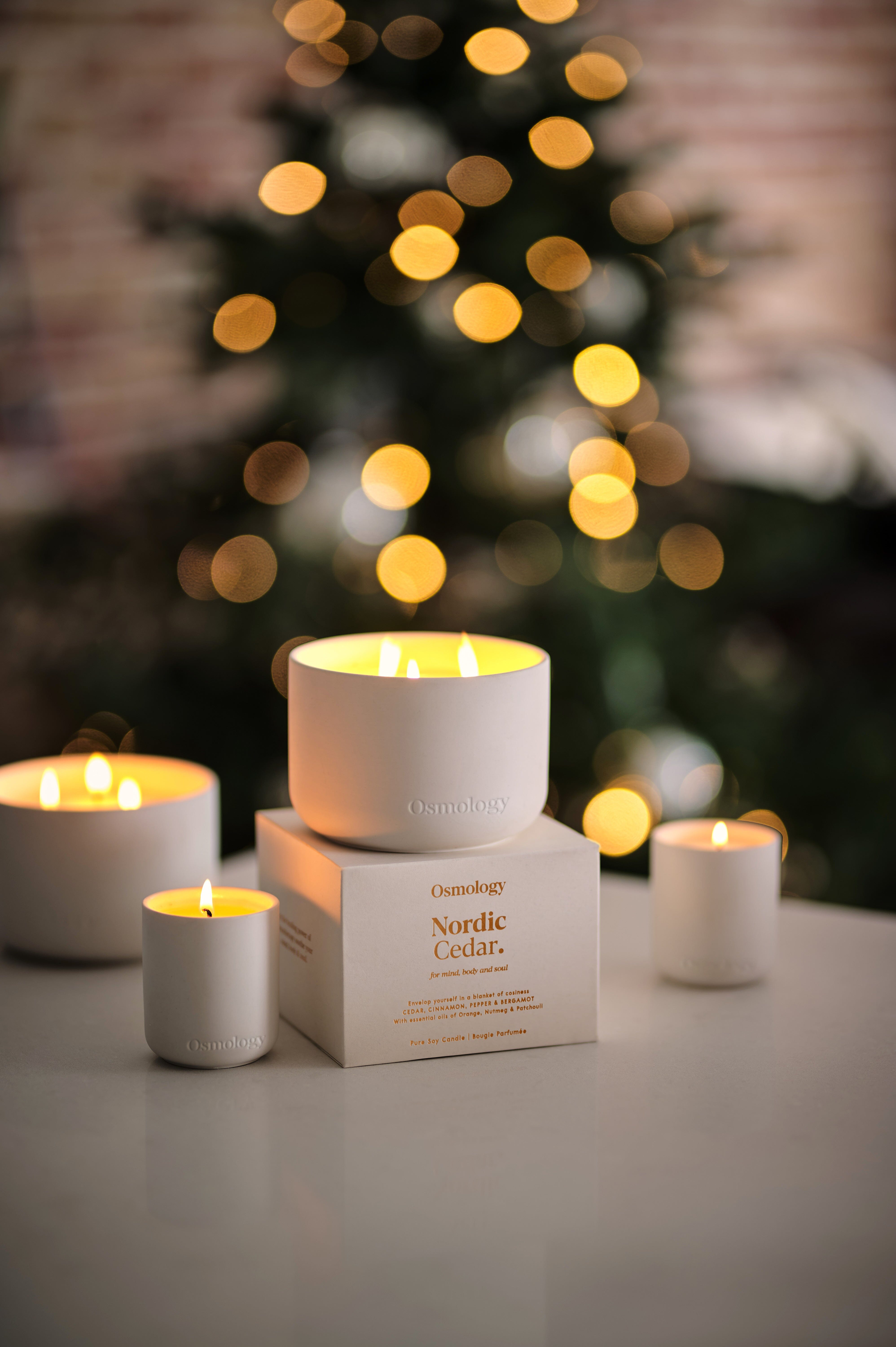 Nordic Cedar Scented Triple Wick Candle