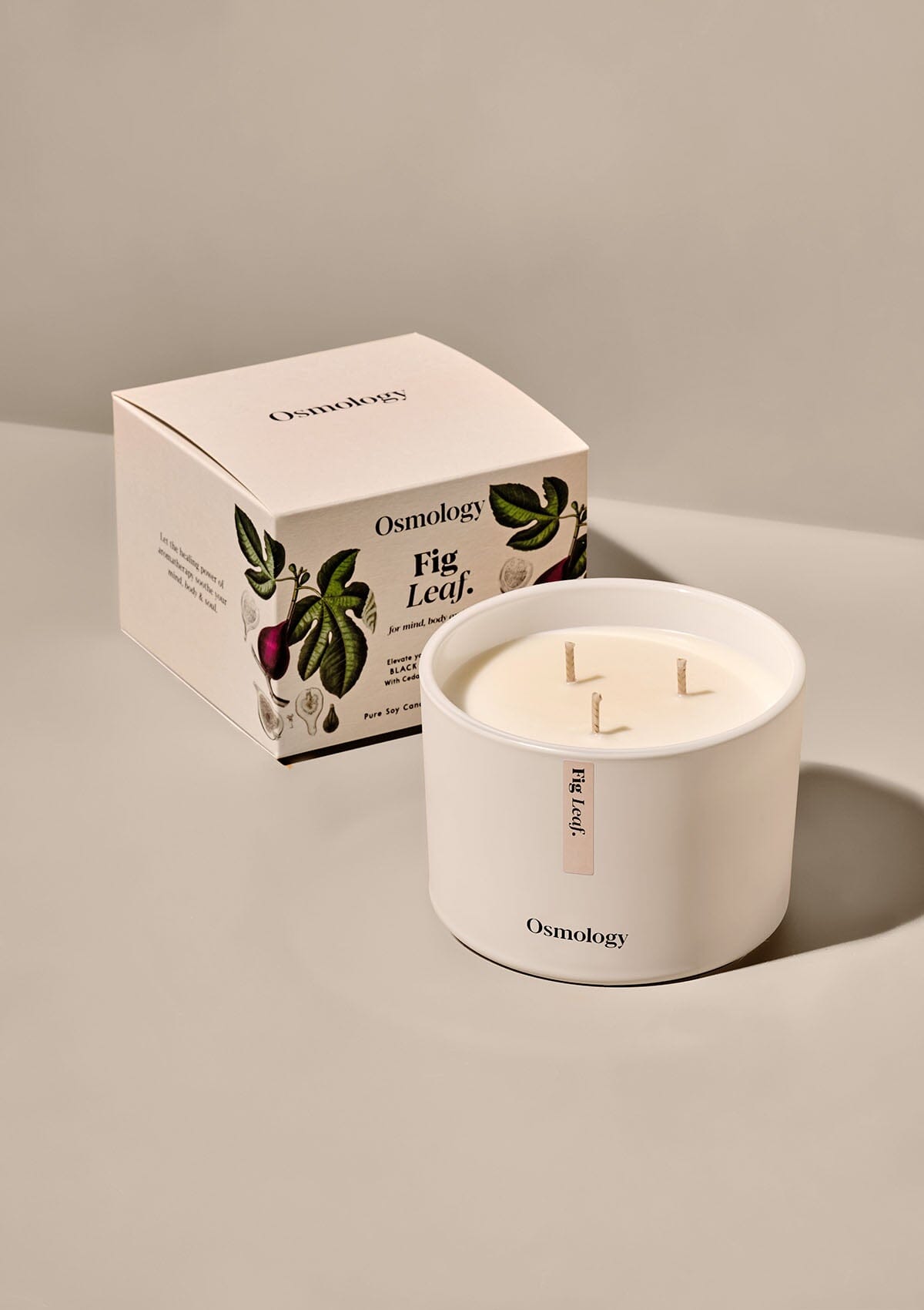 Fig Leaf Scented Triple Wick Candle