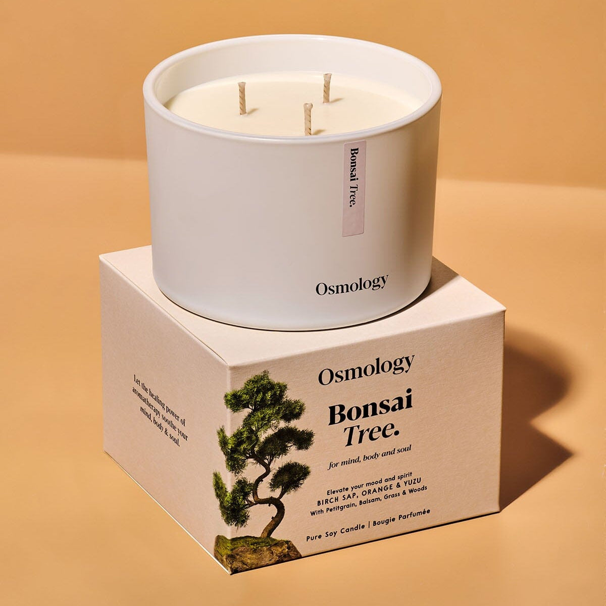 Bonsai Tree Scented Triple Wick Candle