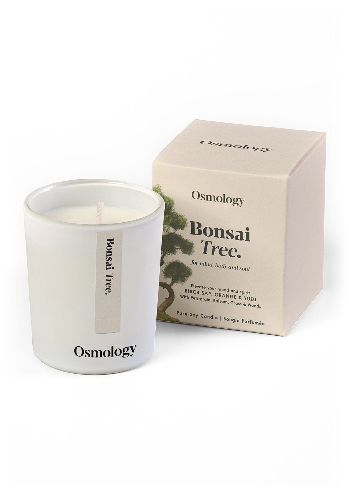 Bonsai Tree Mini Scented Candle