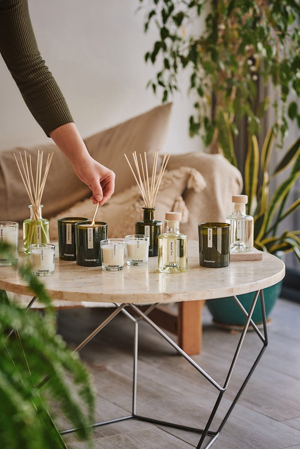 A coffee table with a range of different Osmology Botanical scented candles and diffusers, one candle being lit by a match 