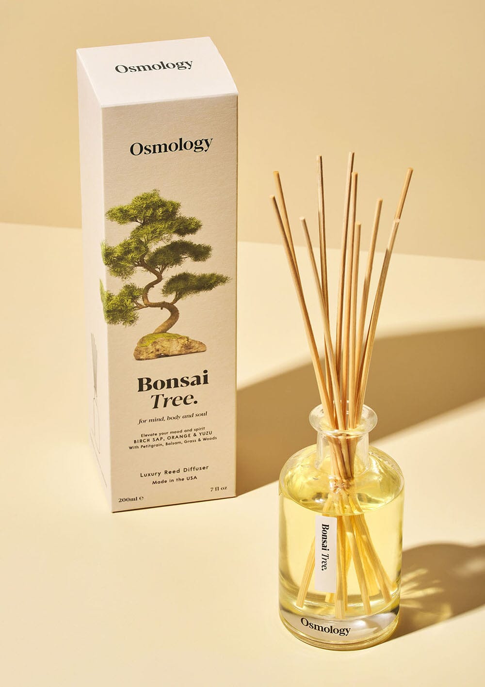 Osmology Bonsai Tree Reed Diffuser with product packaging on cream background