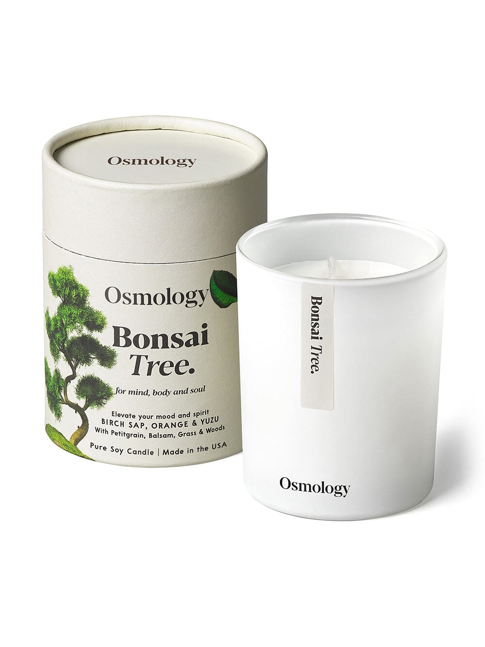 Osmology Bonsai Tree scented candle with packaging tube on white background  