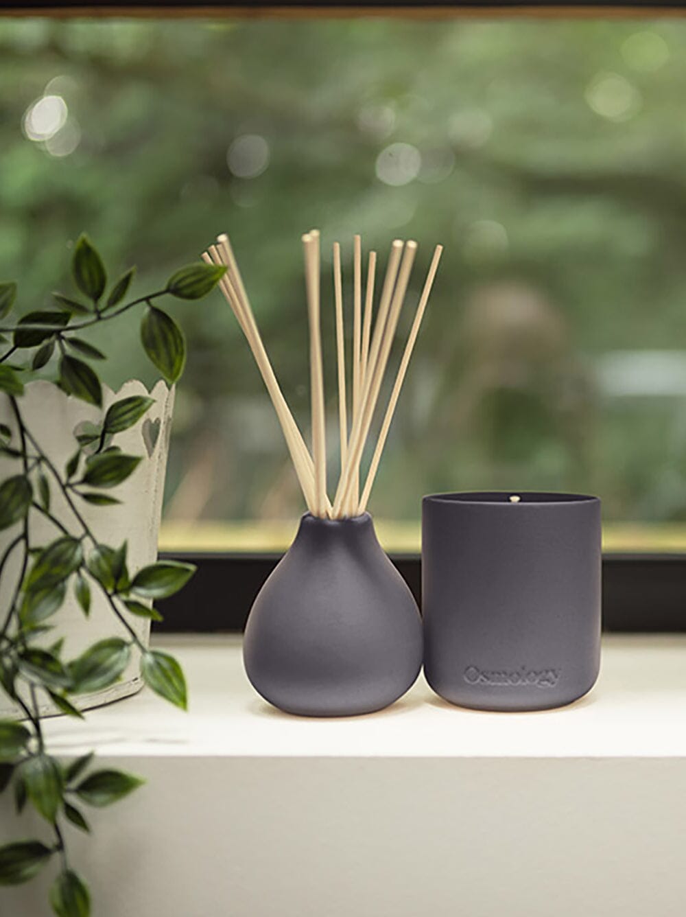 Osmology Indian Sandalwood diffuser with Indian Sandalwood candle on window sill, with hanging plant arranged next to products