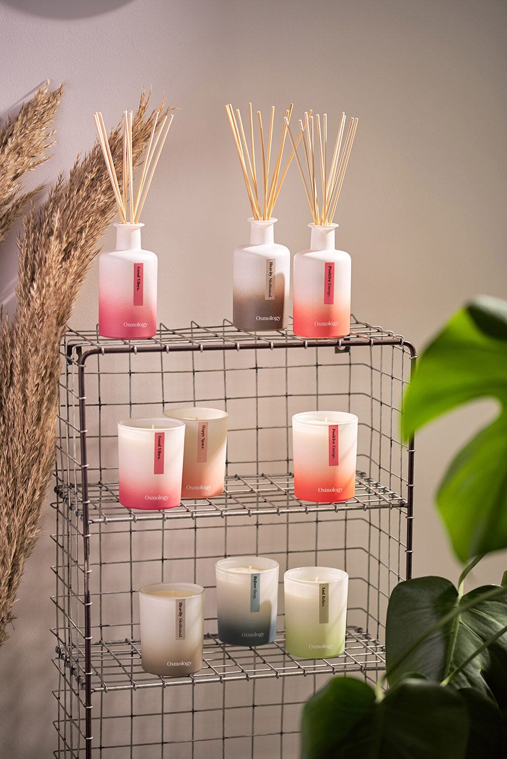 A range of Osmology reed diffusers and candles arranged on metal wire shelving unit, plant in foreground and background